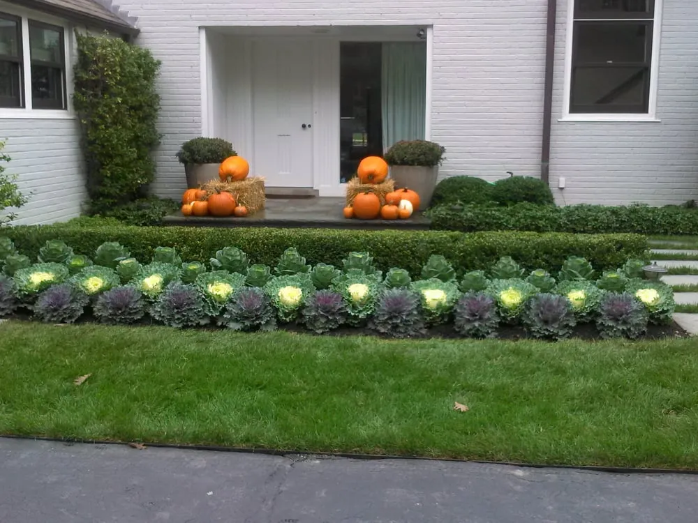 Custom yard cleanup service in Waukegan, IL - Natural Beauty Landscaping