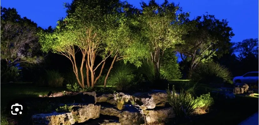 Custom yard cleanup service in Jupiter, FL by Natural Bloom Landscape