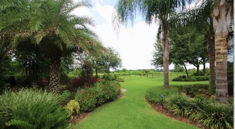 Professional landscape installation in Jupiter, FL by Natural Bloom Landscape