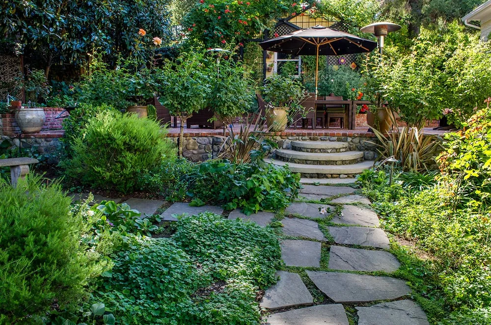 Reliable yard cleanup service experts serving Los Gatos, CA - Natural Bridges Landscaping