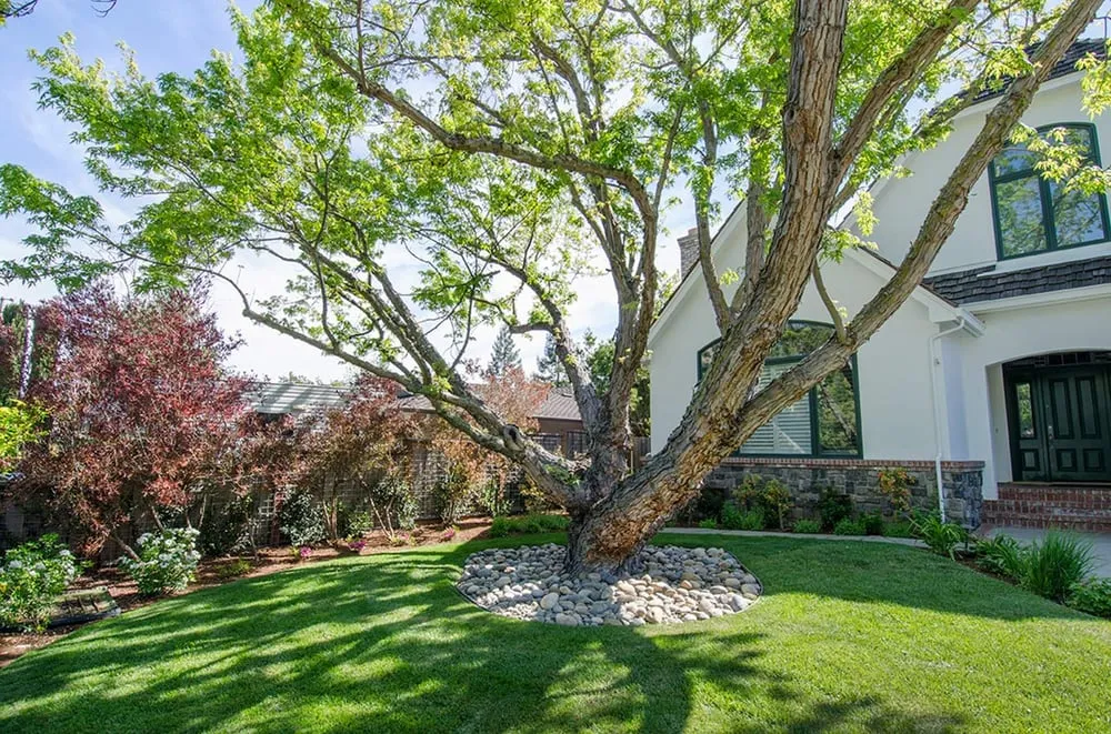 Trusted residential landscaping in Los Gatos, CA by Natural Bridges Landscaping