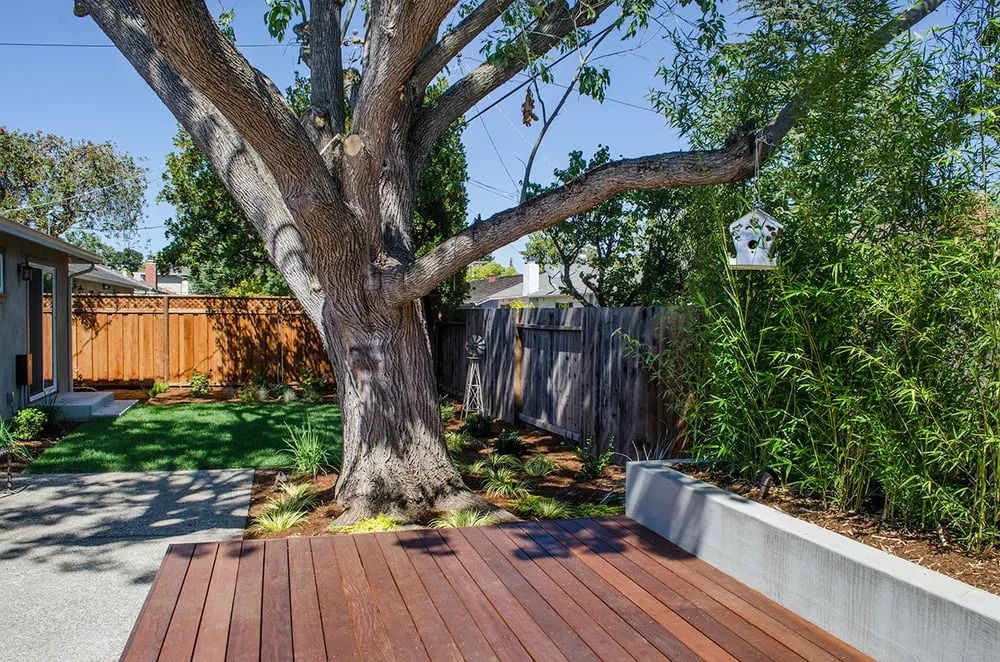 Top-rated landscaping services in Los Gatos, CA - Natural Bridges Landscaping