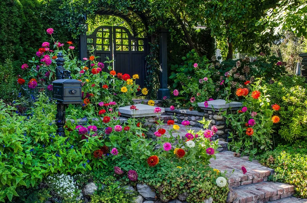 Local lawn care service near you in Los Gatos, CA by Natural Bridges Landscaping