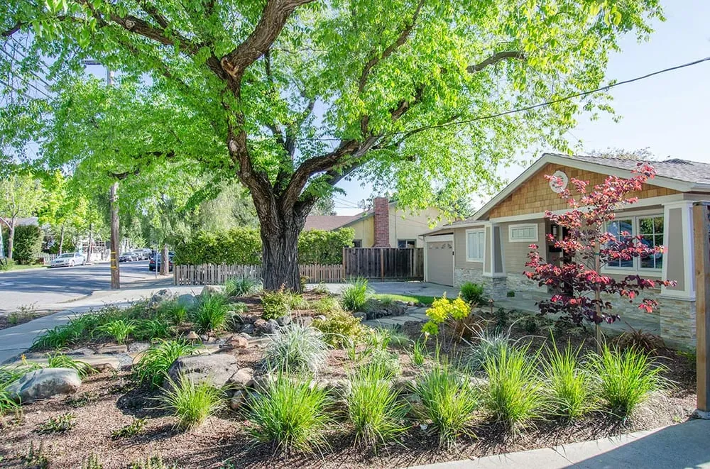 Affordable landscape design for outdoor upgrades across Los Gatos, CA - Natural Bridges Landscaping