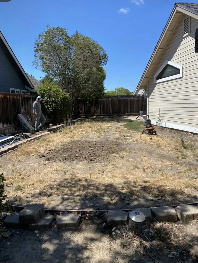 Reliable yard maintenance experts serving Livermore, CA - Natural Care Maintenance