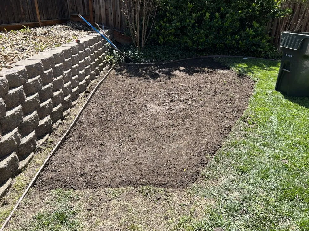 Expert yard maintenance experts serving Livermore, CA - Natural Care Maintenance
