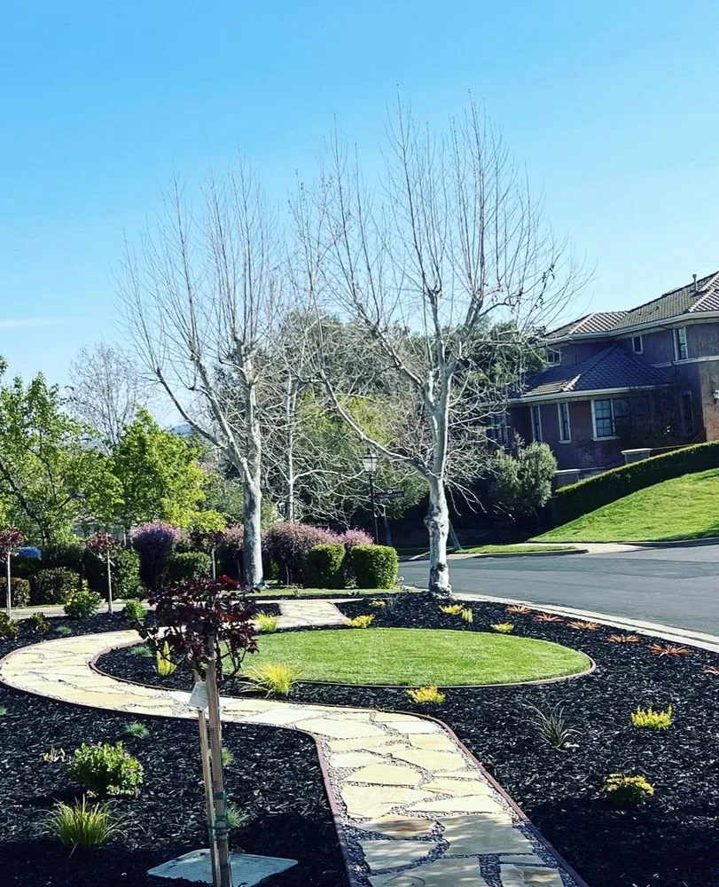 Expert yard maintenance in Livermore, CA - Natural Care Maintenance
