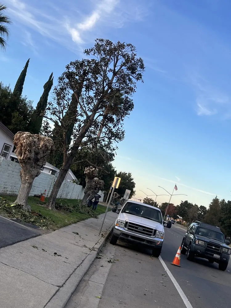 Reliable landscape design experts serving Livermore, CA - Natural Care Maintenance