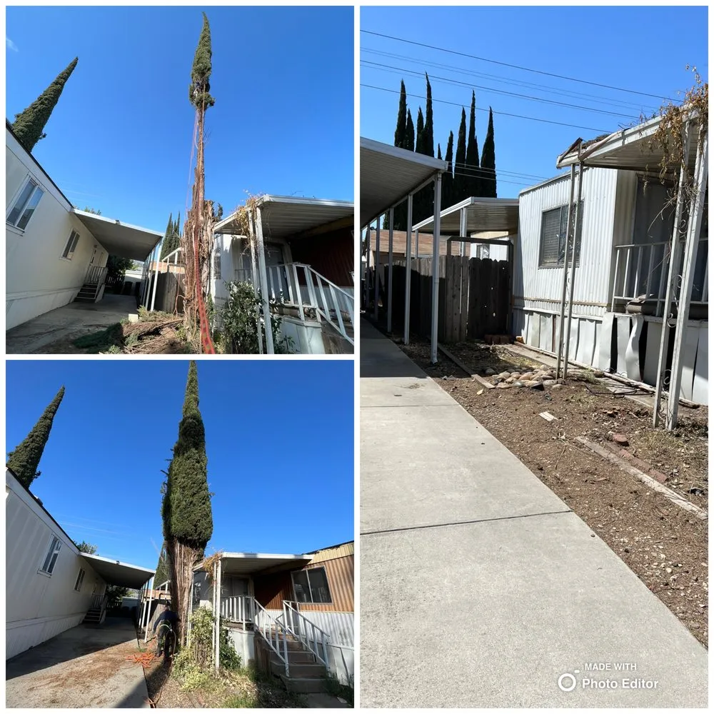 Expert lawn mowing service in Livermore, CA - Natural Care Maintenance