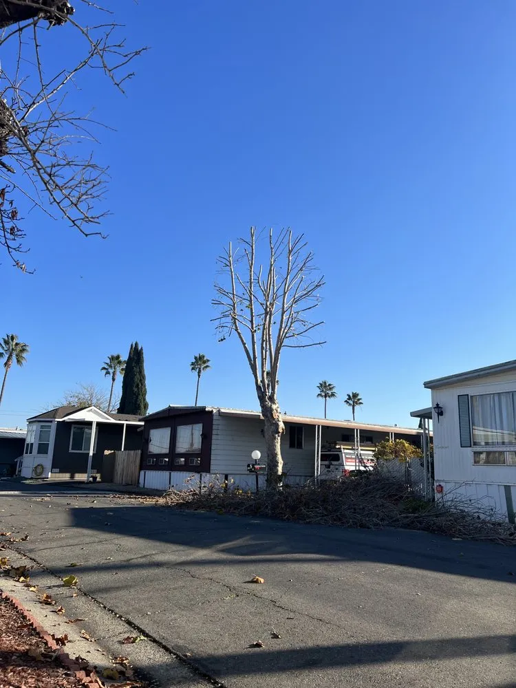 Trusted landscaping services experts serving Livermore, CA - Natural Care Maintenance