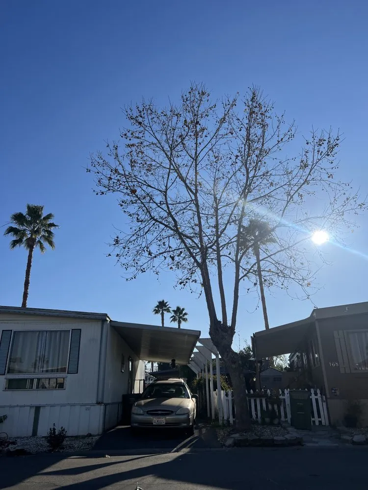 Expert landscaping services for beautiful yards across Livermore, CA - Natural Care Maintenance