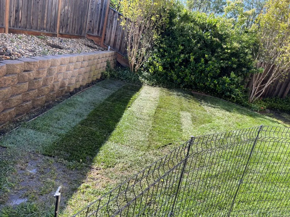 Custom lawn care service for homes across Livermore, CA - Natural Care Maintenance