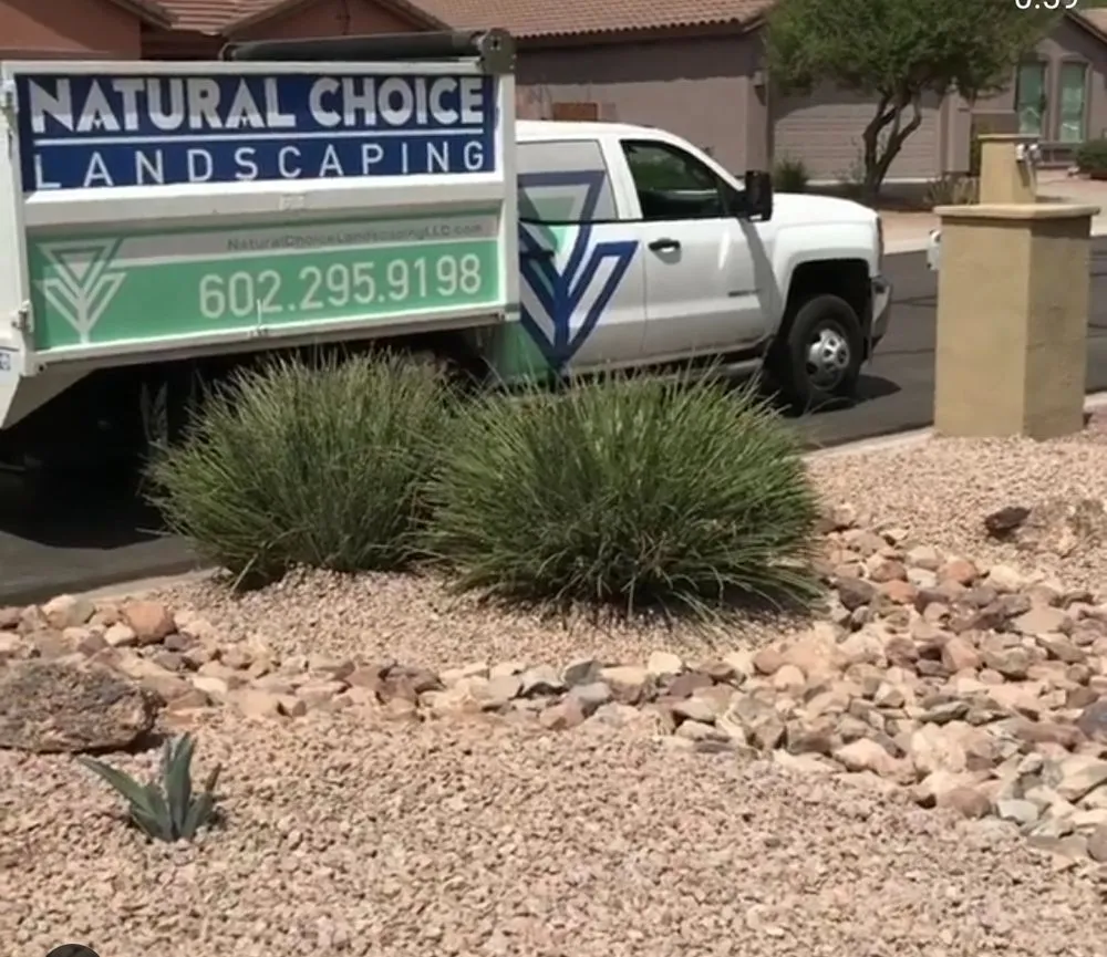 Reliable landscaping services for homes across Phoenix, AZ - Natural Choice Landscaping