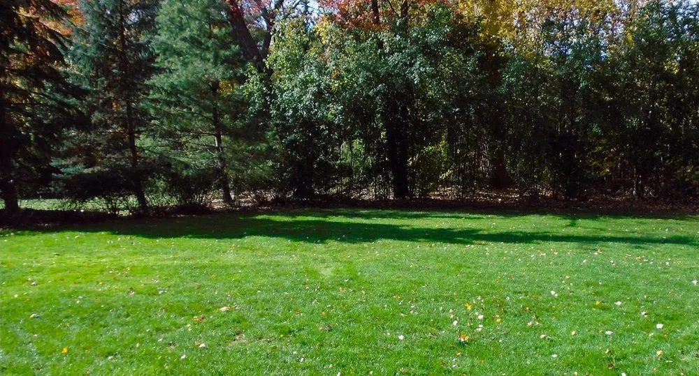 Local landscaping services in Newington, CT - Natural Choice Lawn & Tree Care