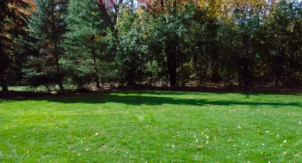 Natural Choice Lawn & Tree Care