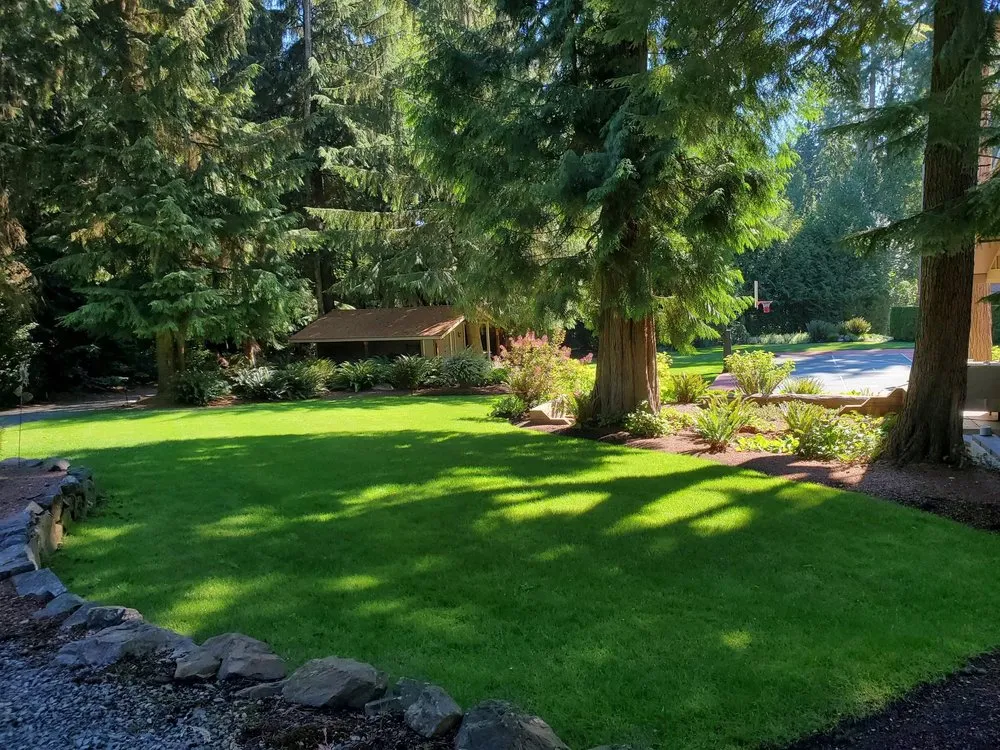 Expert landscape installation in Snohomish, WA - Natural Concept Landscape