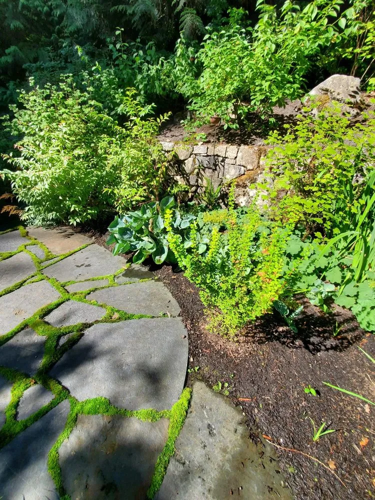 Reliable outdoor landscaping in Snohomish, WA - Natural Concept Landscape