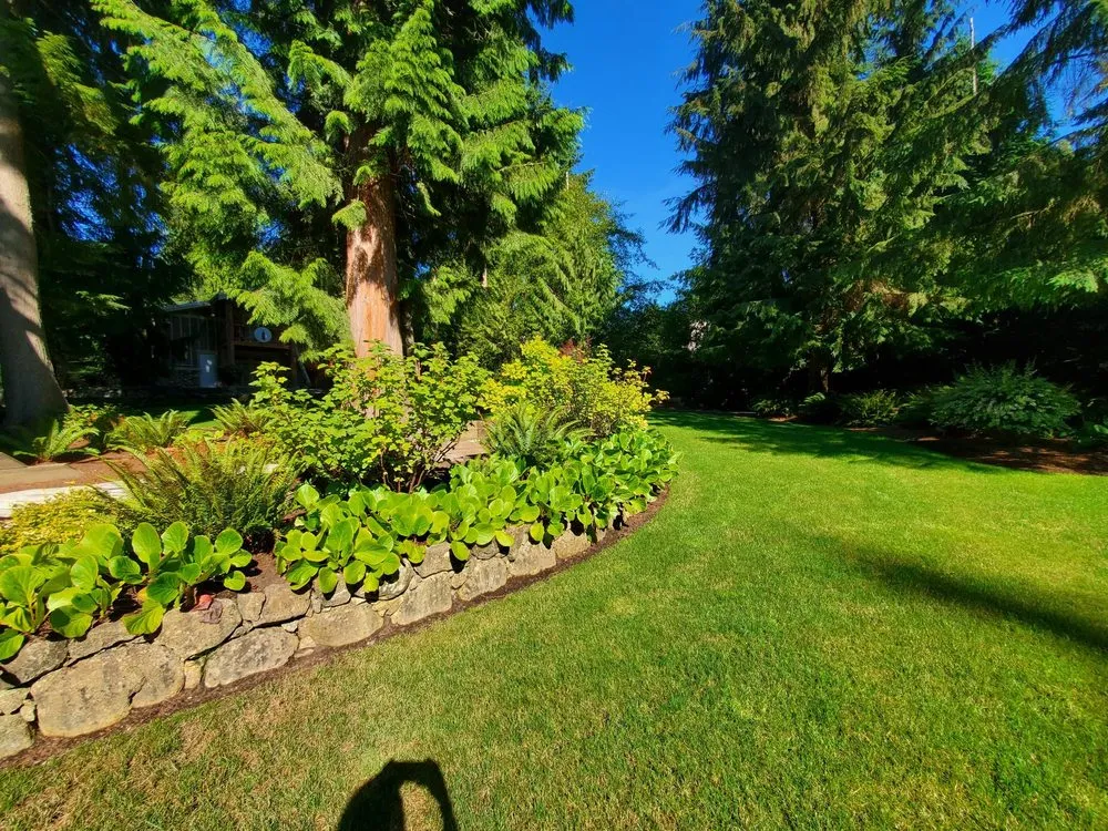 Professional garden landscaping for year-round maintenance across Snohomish, WA - Natural Concept Landscape