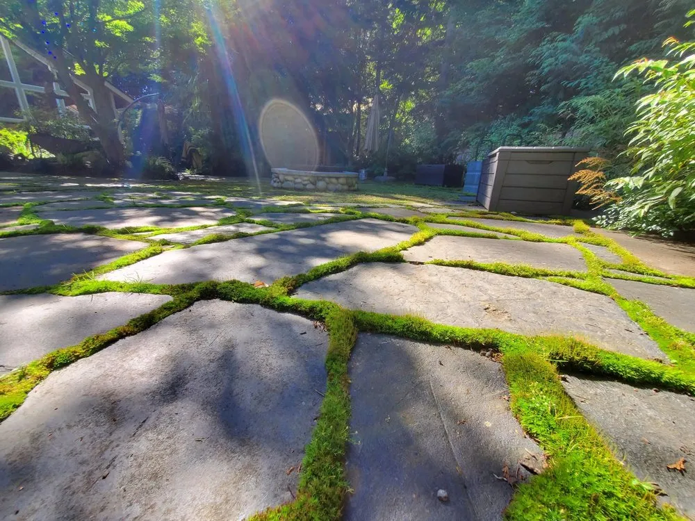 Local landscape installation near you across Snohomish, WA - Natural Concept Landscape