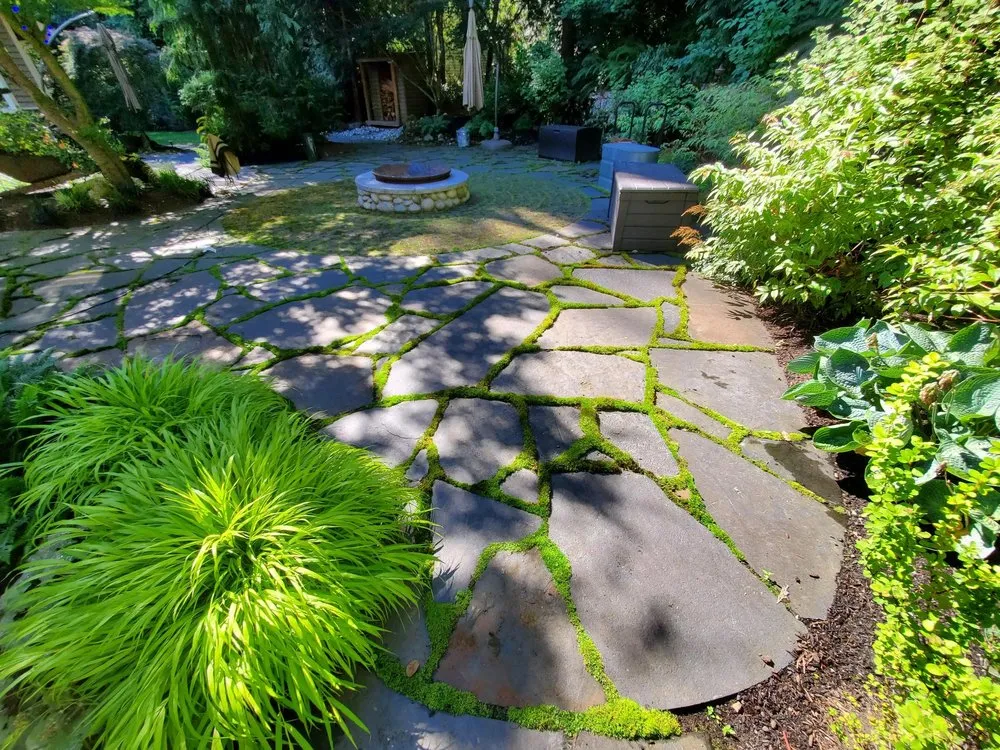 Professional lawn care service in Snohomish, WA by Natural Concept Landscape