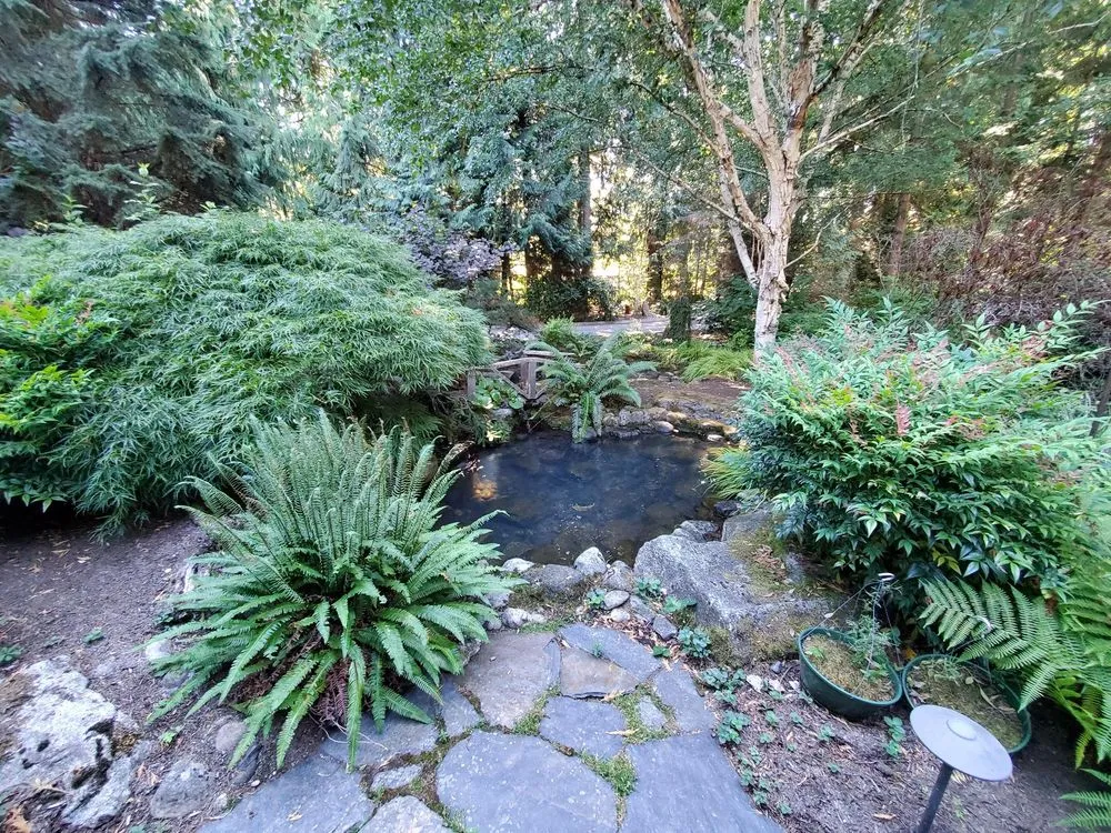 Affordable lawn mowing service in Snohomish, WA - Natural Concept Landscape