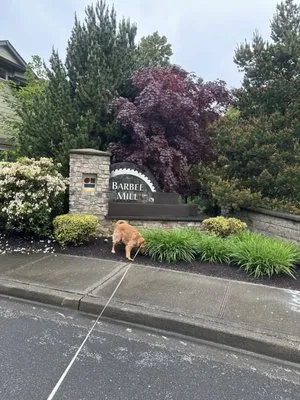 Natural Concept Landscape Logo