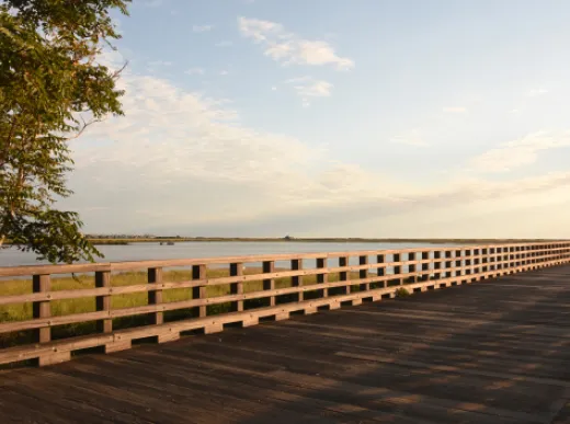 Professional landscaping services in Vienna, MD - Natural Concepts Landscaping And Fencing