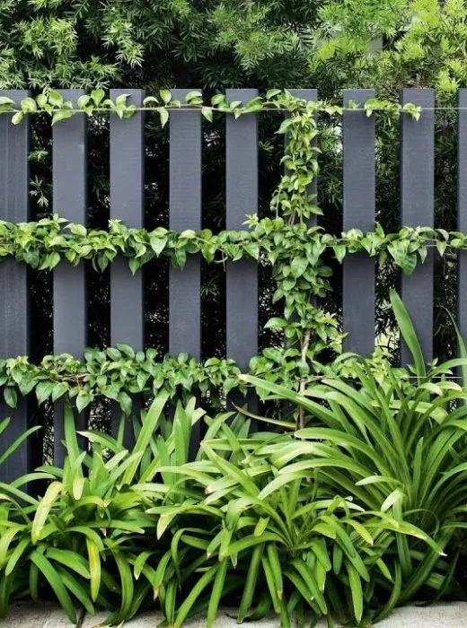 Reliable landscaping services with custom design in Vienna, MD by Natural Concepts Landscaping And Fencing