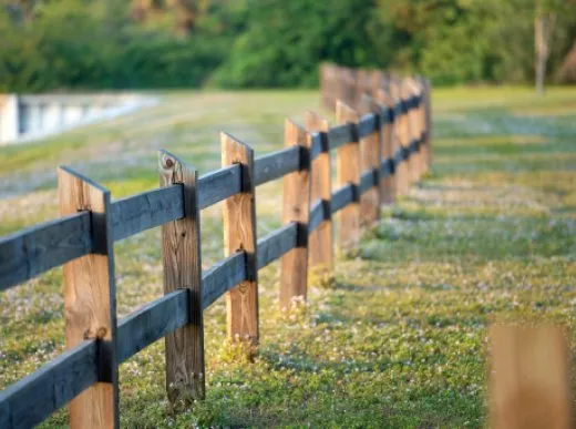 Expert yard cleanup service in Vienna, MD - Natural Concepts Landscaping And Fencing