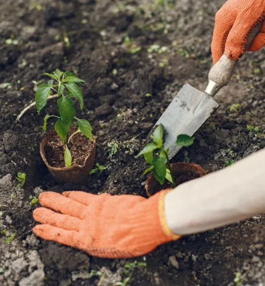 Professional yard maintenance near you in Vienna, MD by Natural Concepts Landscaping And Fencing