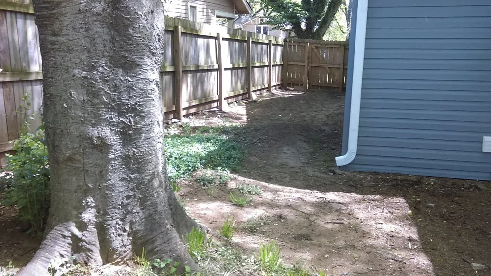 Professional lawn mowing service in Nashville, TN by Natural Concepts