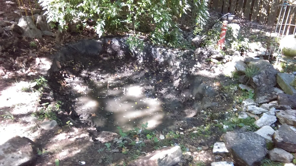 Local lawn care service for year-round maintenance across Nashville, TN - Natural Concepts