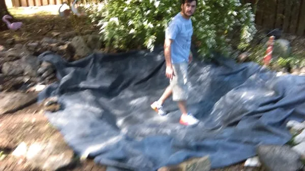 Natural Concepts Logo