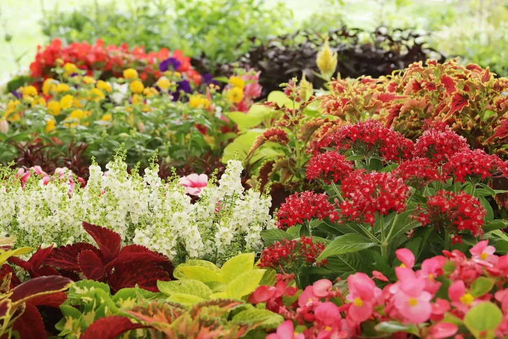 Local outdoor landscaping in Sparks Glencoe, MD by Natural Concerns