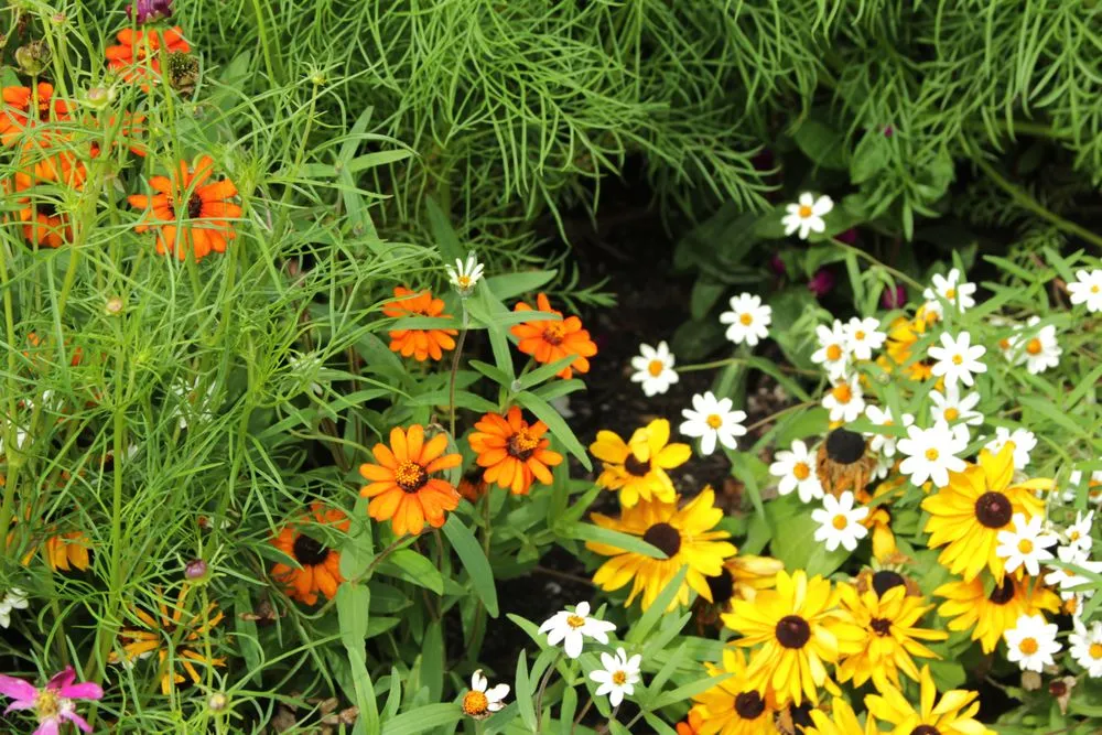 Professional landscape design for residential properties across Sparks Glencoe, MD - Natural Concerns
