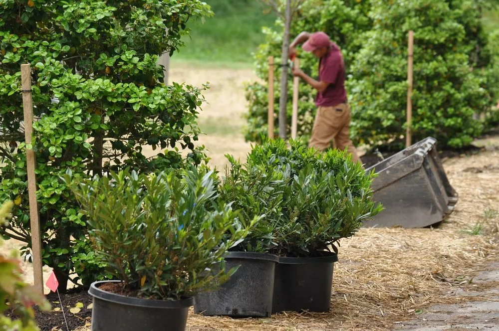 Professional residential landscaping in Sparks Glencoe, MD by Natural Concerns