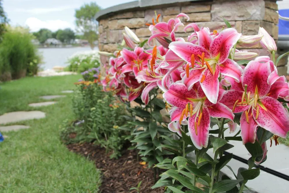 Expert lawn care service in Sparks Glencoe, MD by Natural Concerns