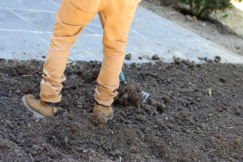 Top-rated yard maintenance in Sparks Glencoe, MD - Natural Concerns