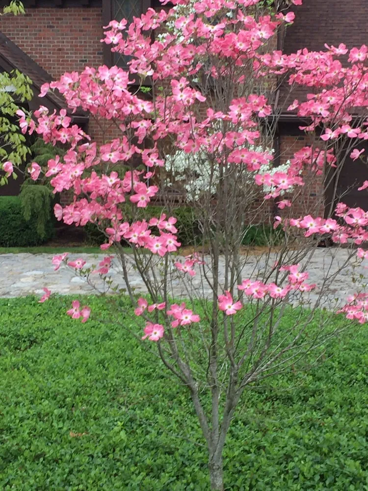 Reliable residential landscaping experts serving Dayton, OH - Natural Creations Lawn & Landscape