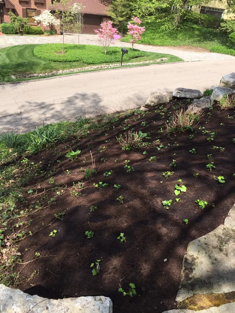 Expert yard cleanup service experts serving Dayton, OH - Natural Creations Lawn & Landscape