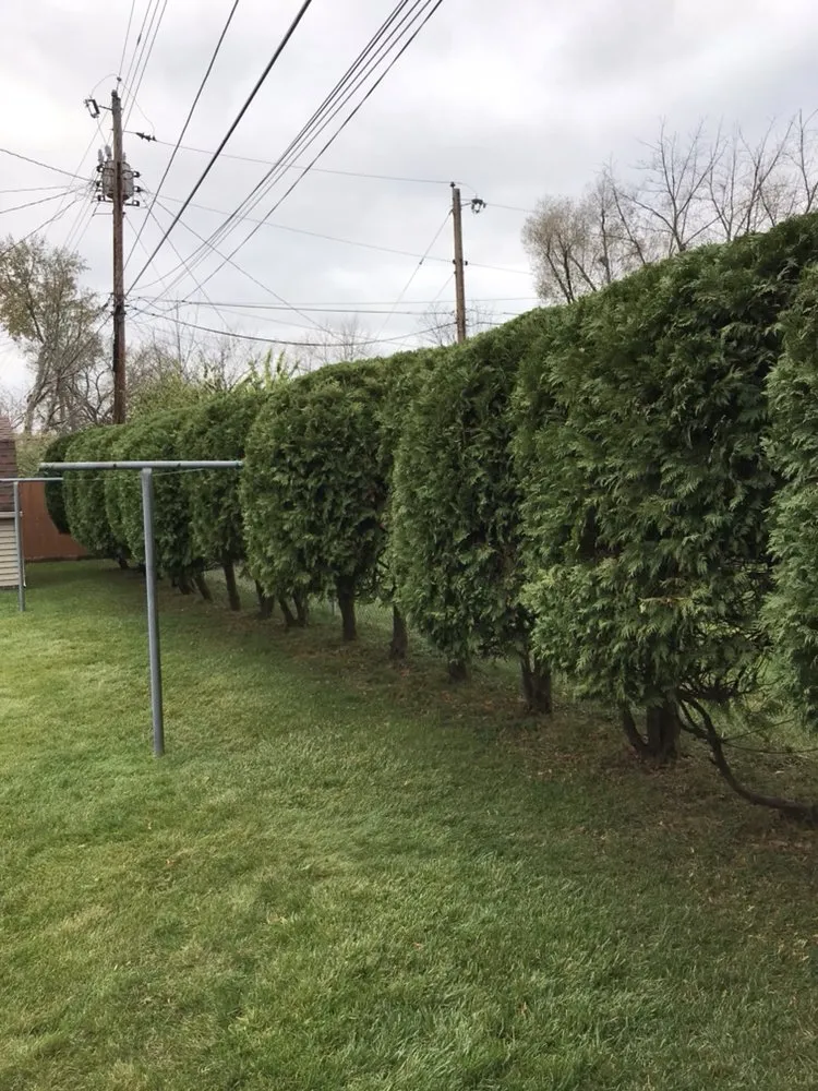 Local outdoor landscaping in Dayton, OH by Natural Creations Lawn & Landscape