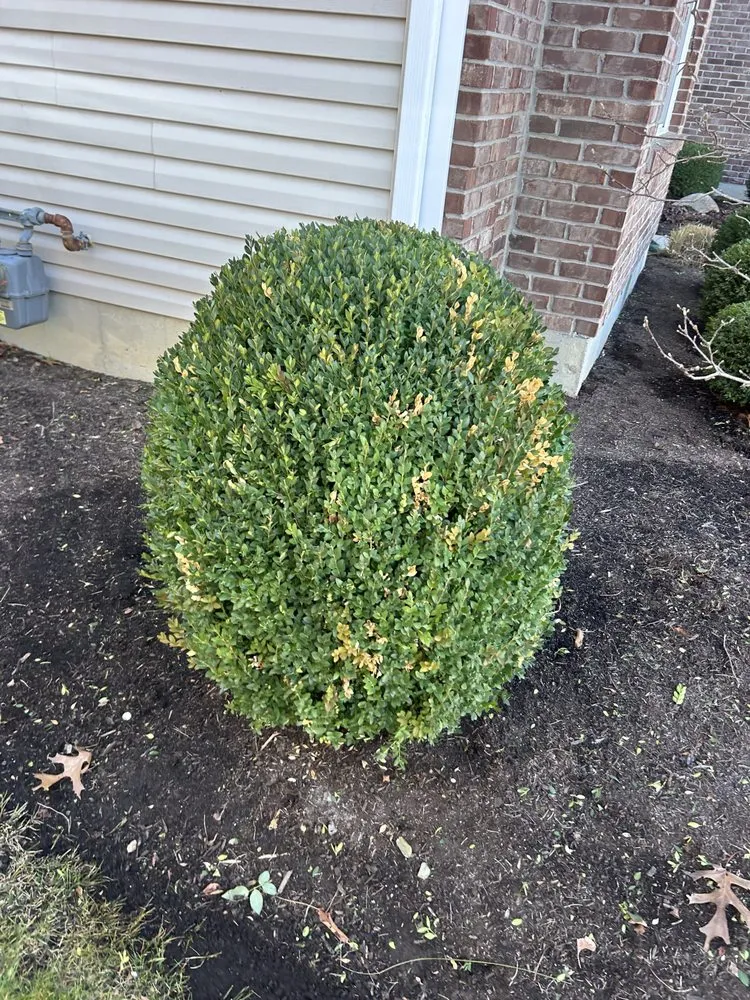 Expert landscaping services for residential properties in Dayton, OH by Natural Creations Lawn & Landscape