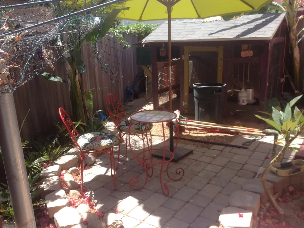 Reliable yard cleanup service with custom design across San Diego, CA - Natural Design By Paul Whitaker