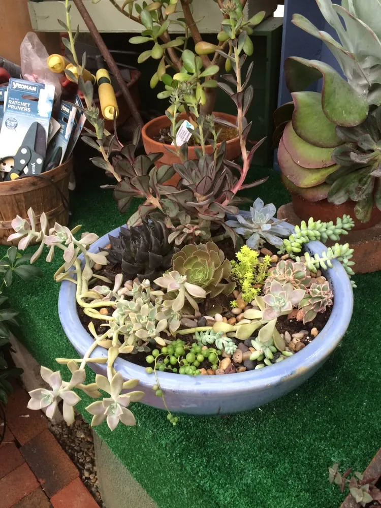 Professional landscape installation in Foster, RI - Natural Designs