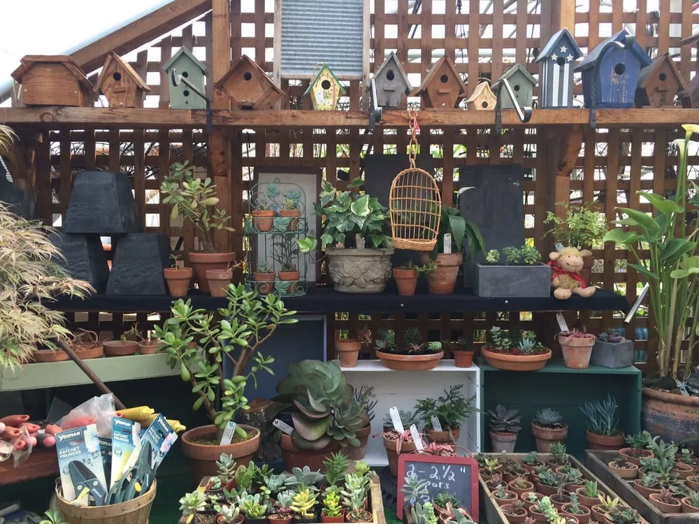 Local yard maintenance for homes across Foster, RI - Natural Designs