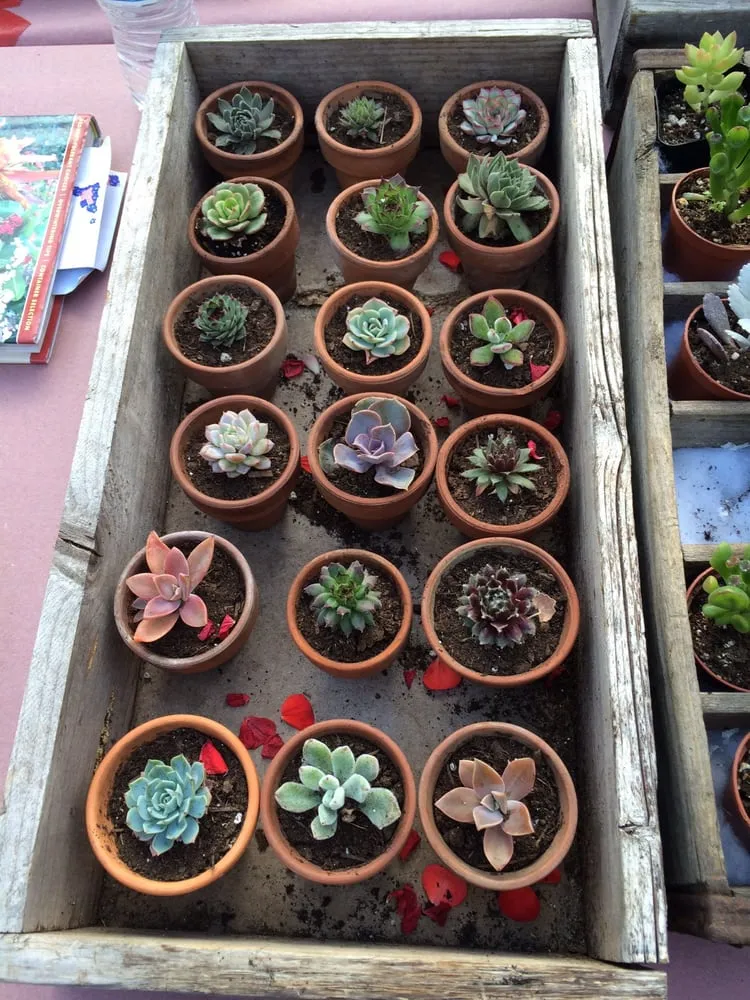 Custom lawn care service in Foster, RI by Natural Designs