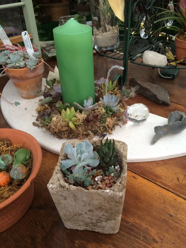 Expert lawn care service for beautiful yards across Foster, RI - Natural Designs