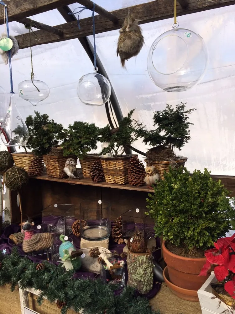 Affordable landscaping services in Foster, RI by Natural Designs