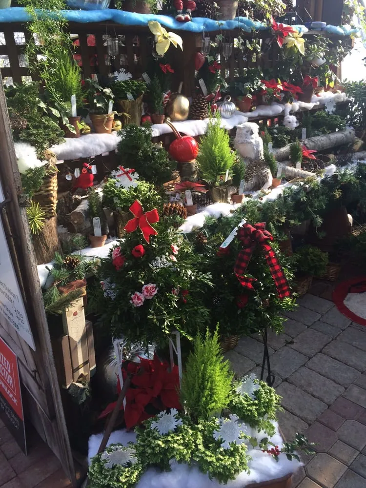 Top-rated landscape design experts serving Foster, RI - Natural Designs