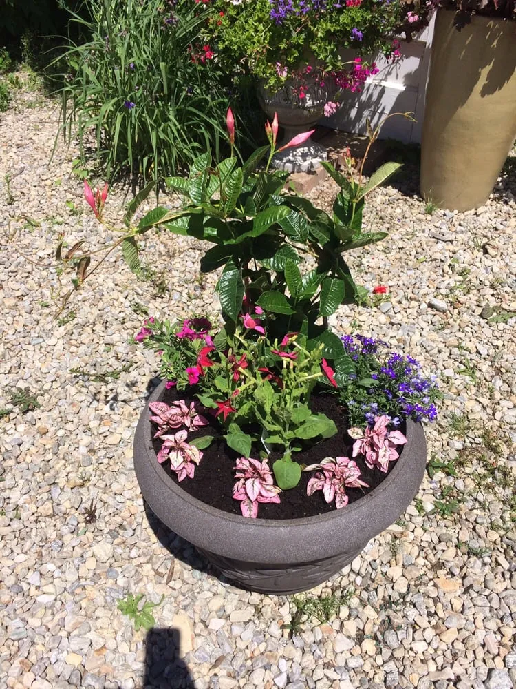 Local lawn mowing service in Foster, RI - Natural Designs